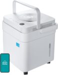 Top 10 Best Dehumidifiers 2026