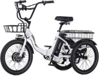 Top 10 Best Tricycles 2026